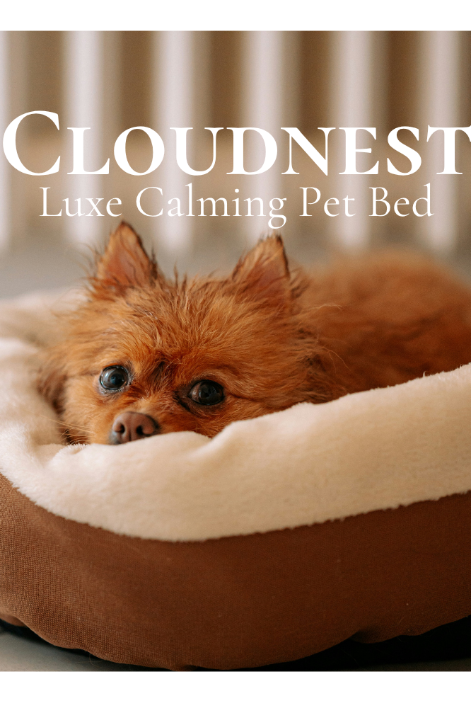 MAKE YOUR PET CONFORTABLE