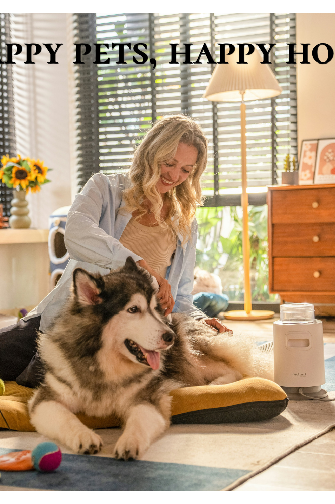 MAKE YOUR PET HAPPY