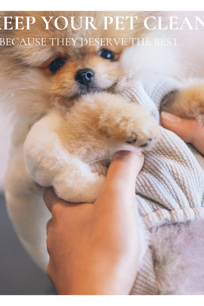 PET CLEANING & GROOMING