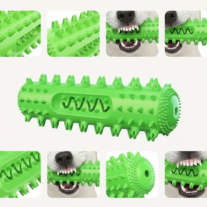 Dog Chew Toy for Teething & Dental Care