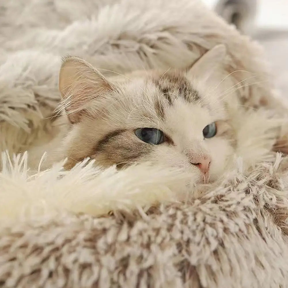 SnuggleNest Luxury Calming Cat Bed