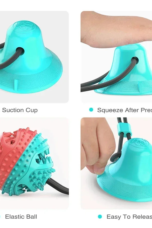Interactive Dog Toy with Suctiyon Cup Strong & Fun Training To