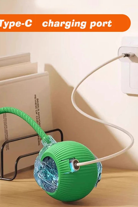 Interactive Dog Toy