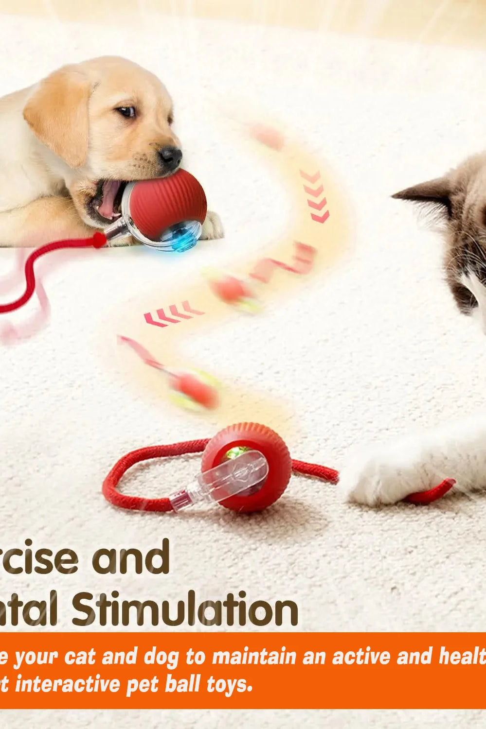 Interactive Dog Toy