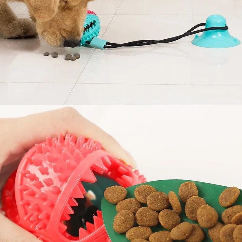 Interactive Dog Toy with Suctiyon Cup Strong & Fun Training To