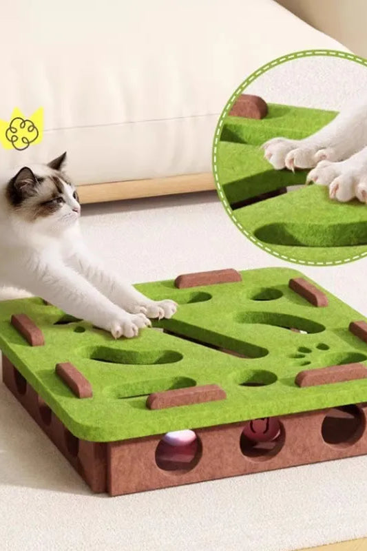SmartPaw Interactive Cat Puzzle Toy
