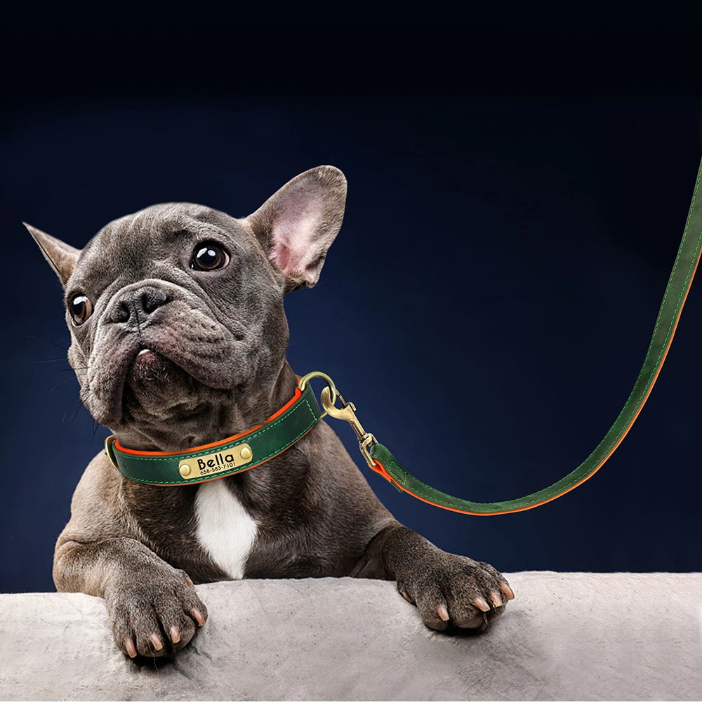 PawNook Luxury Engraved Dog Collar