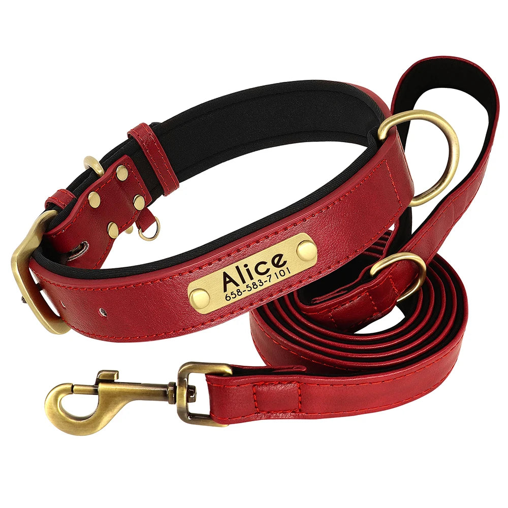 PawNook Luxury Engraved Dog Collar