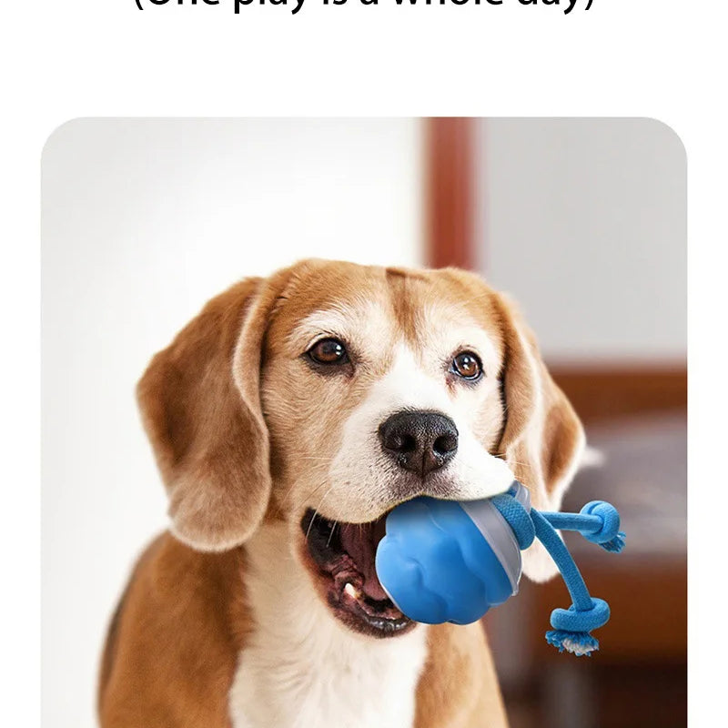 Dog Feedind Bowl