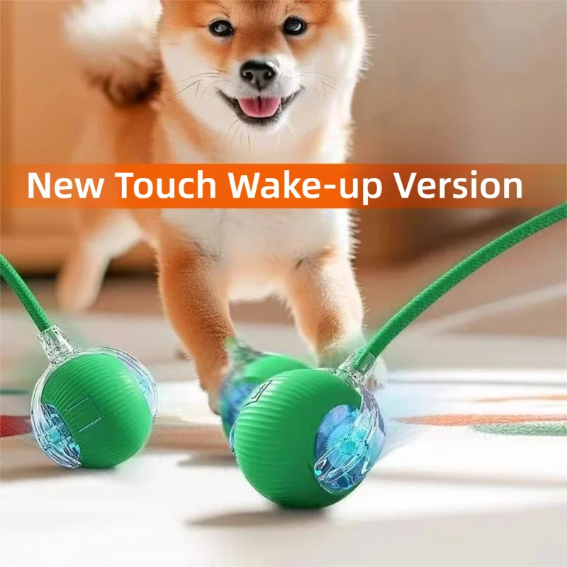 Interactive Dog Toy