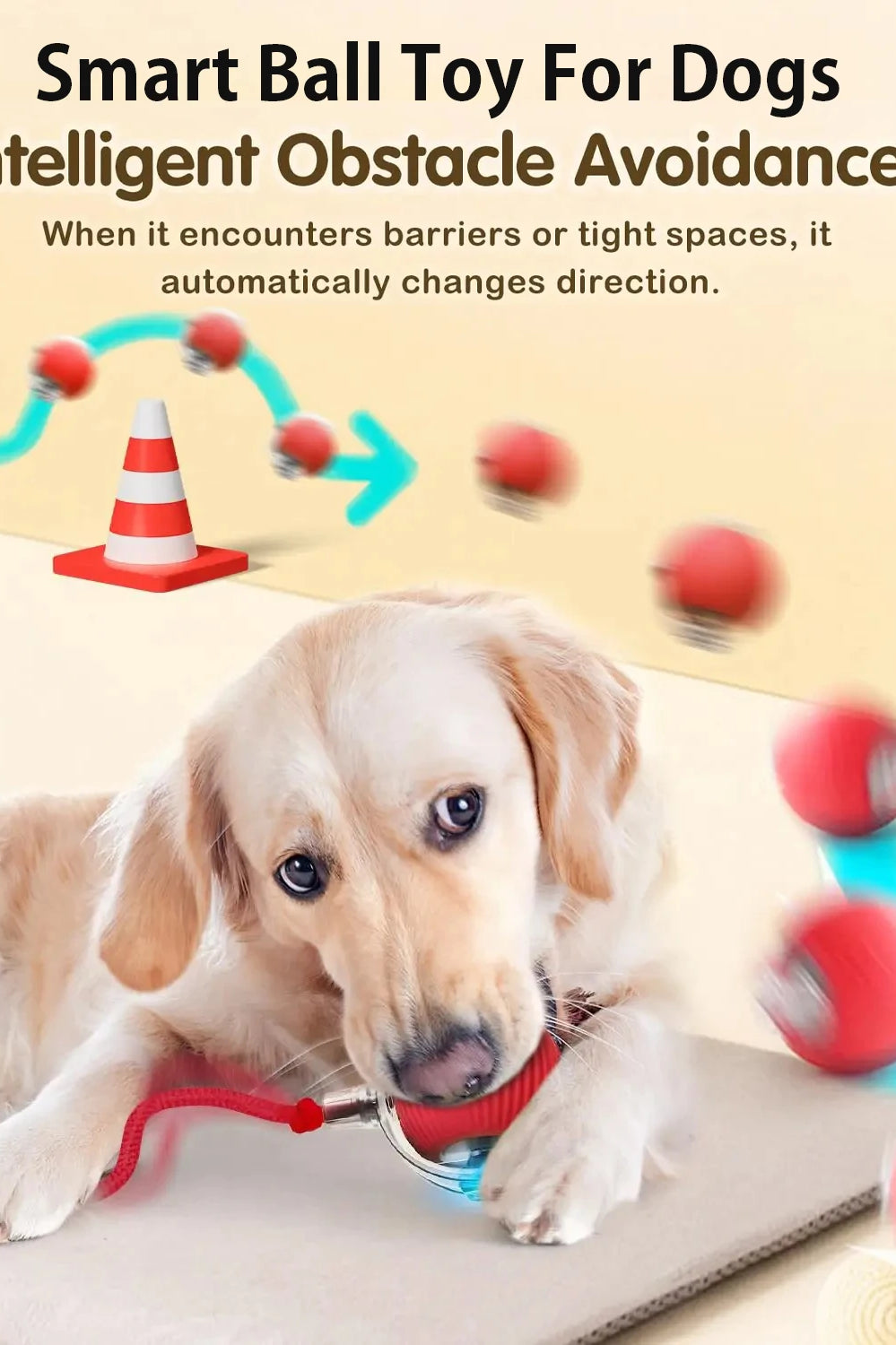Interactive Dog Toy
