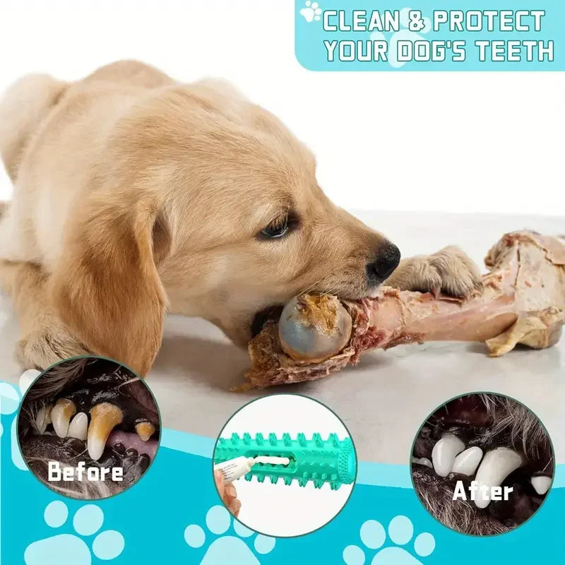 Dog Chew Toy for Teething & Dental Care