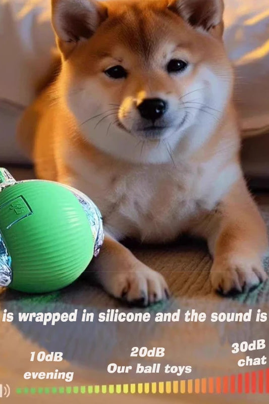 Interactive Dog Toy