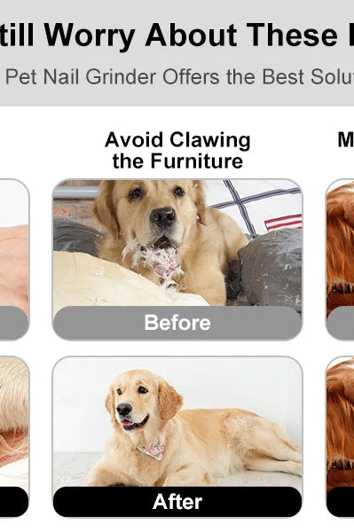Pet Nail Clipper