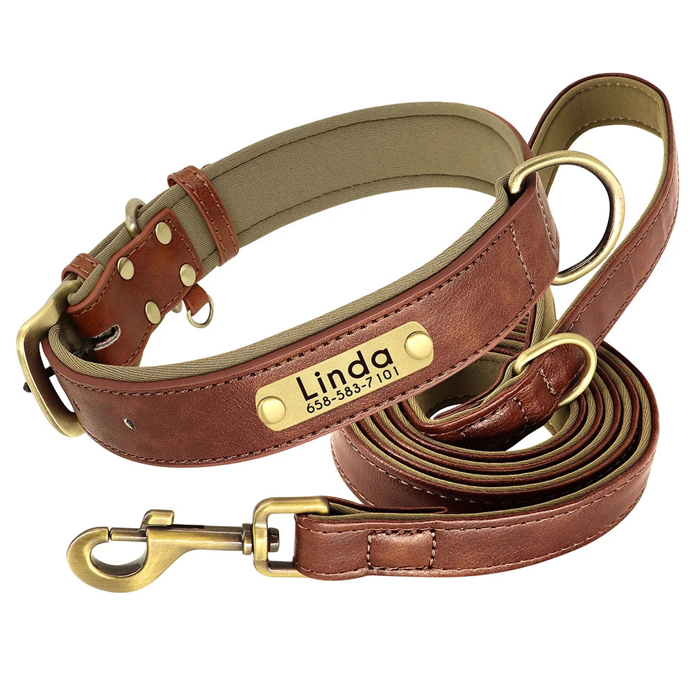 PawNook Luxury Engraved Dog Collar