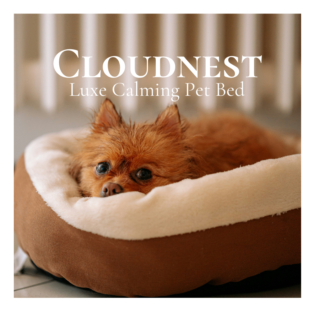 MAKE YOUR PET CONFORTABLE