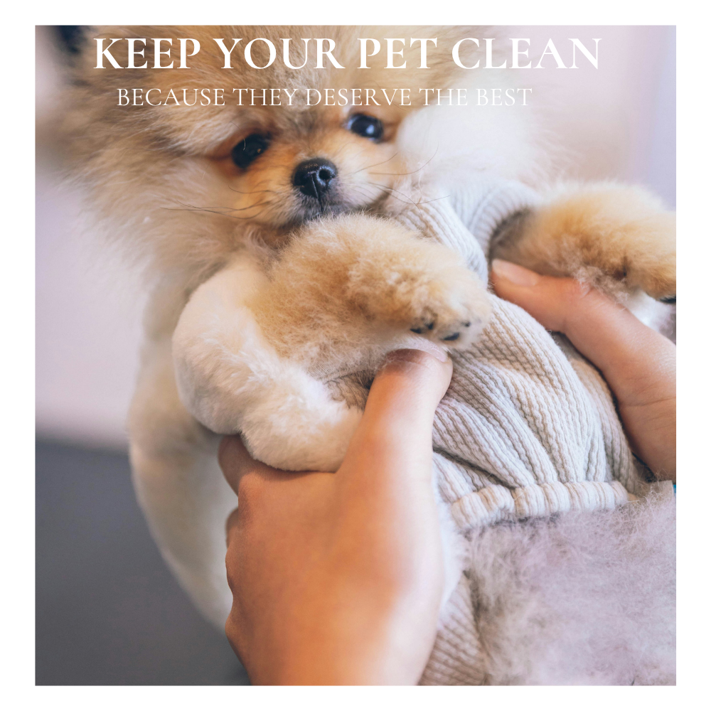 PET CLEANING & GROOMING