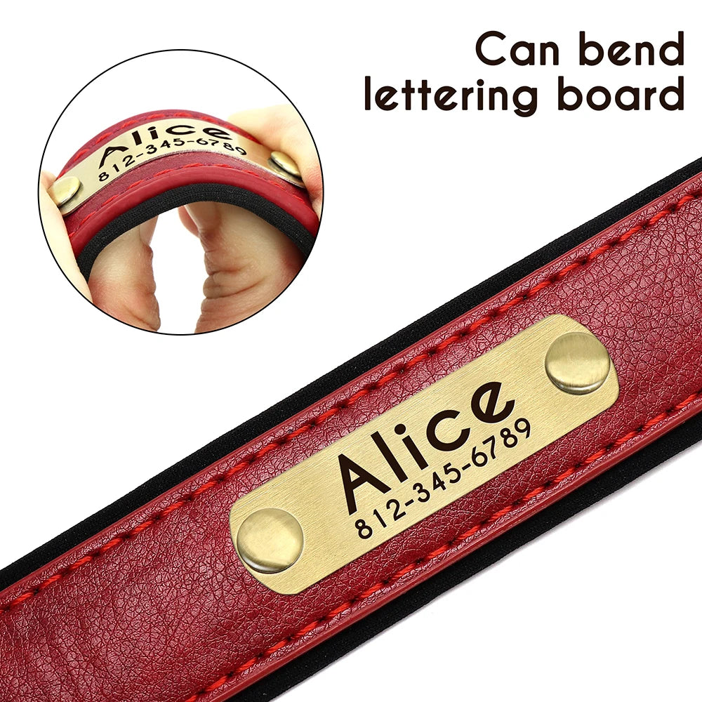 PawNook Luxury Engraved Dog Collar featuring a personalized nameplate with contact information.