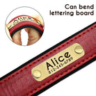 PawNook Luxury Engraved Dog Collar featuring a personalized nameplate with contact information.