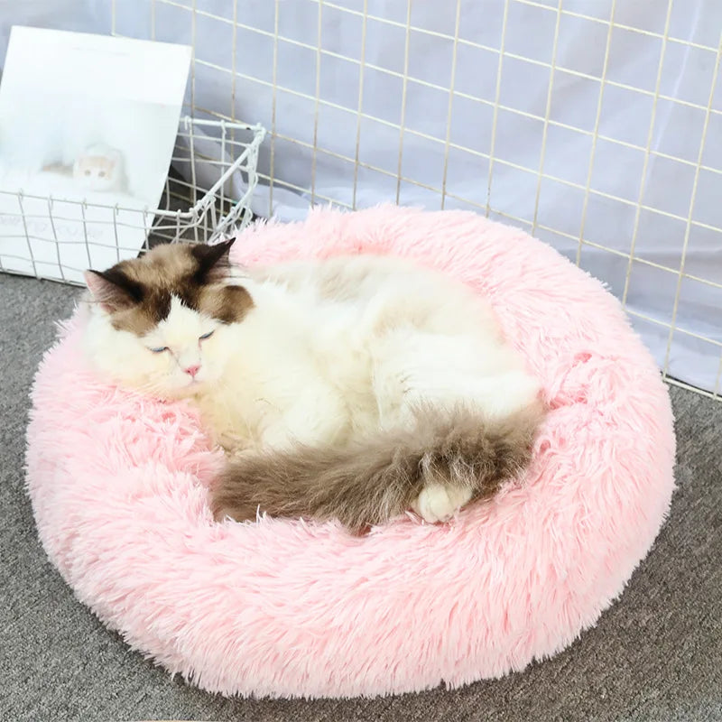 CloudNest Luxury Hanging Cat Hammock