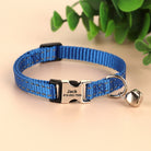 Personalized Engraved Cat Collar