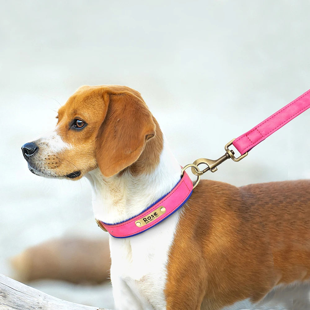 PawNook Luxury Engraved Dog Collar