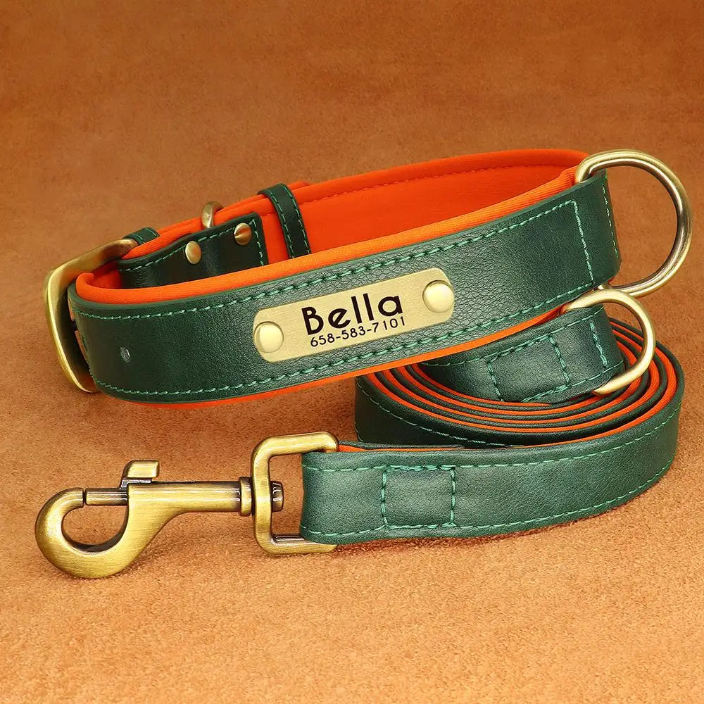 PawNook Luxury Engraved Dog Collar