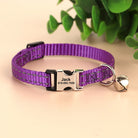Personalized Engraved Cat Collar