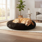 CloudNest Luxury Hanging Cat Hammock