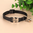 Personalized Engraved Cat Collar
