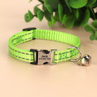 Personalized Engraved Cat Collar