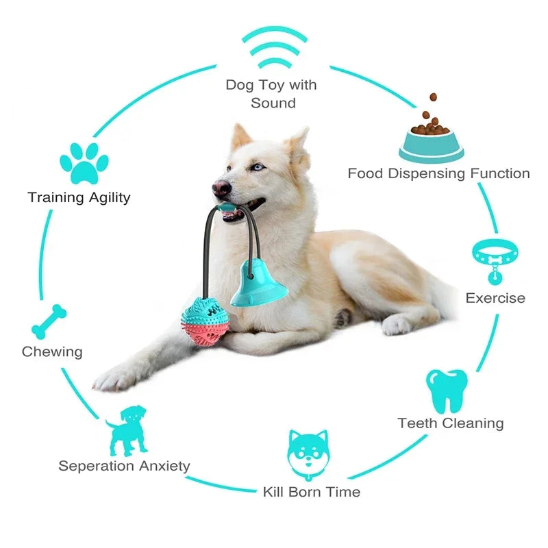 Interactive Dog Toy with Suctiyon Cup Strong & Fun Training To
