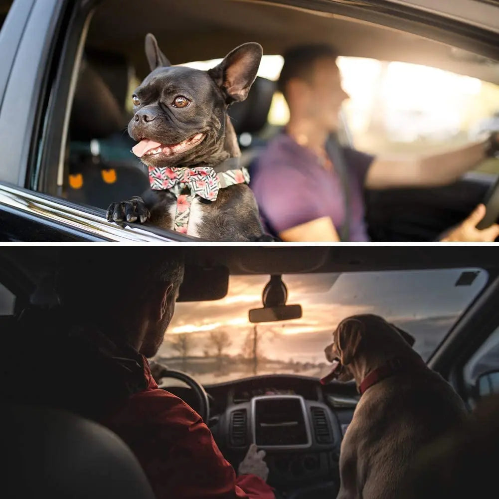 waterproof pet car seat cover