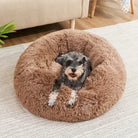 CloudNest Luxury Hanging Cat Hammock