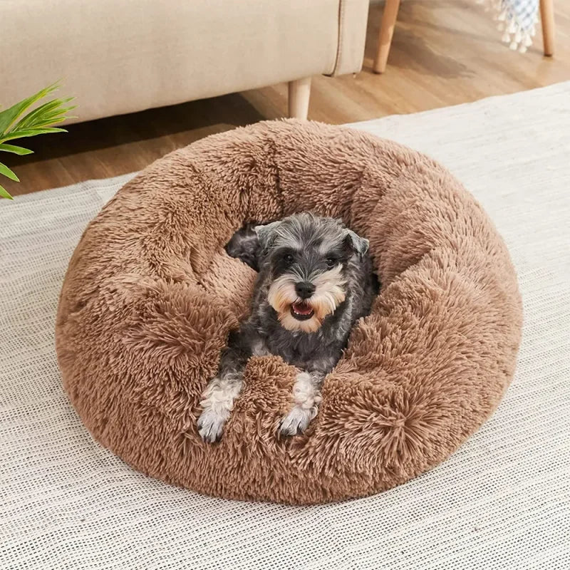 CloudNest Luxury Hanging Cat Hammock