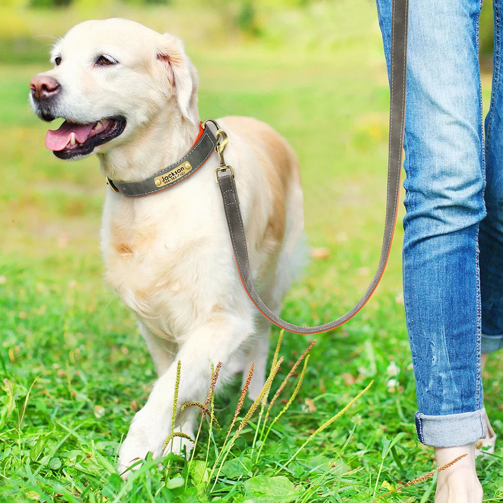 PawNook Luxury Engraved Dog Collar