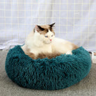 CloudNest Luxury Hanging Cat Hammock