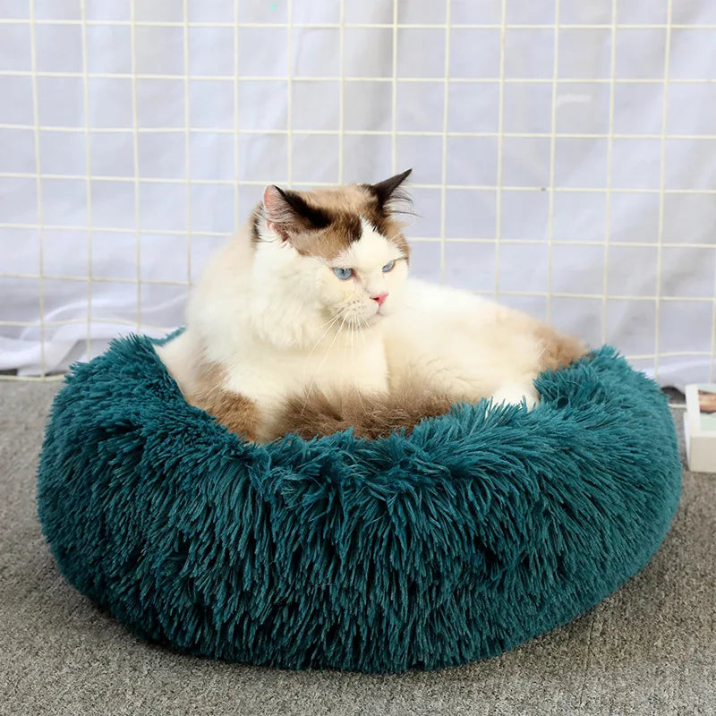 CloudNest Luxury Hanging Cat Hammock
