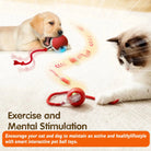 Interactive Dog Toy