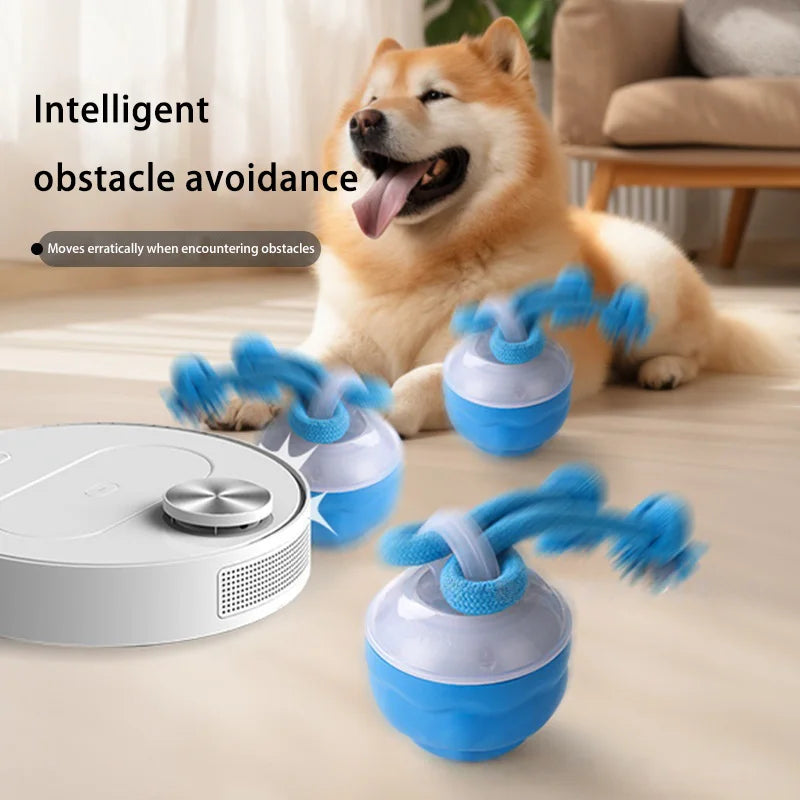 Dog Feedind Bowl