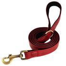 PawNook Luxury Engraved Dog Collar