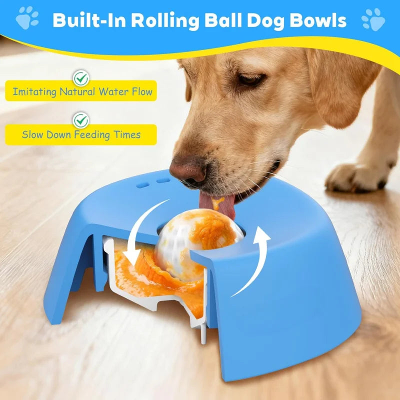 Spill-Proof Slow Feeder Dog Bwowl