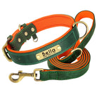 PawNook Luxury Engraved Dog Collar