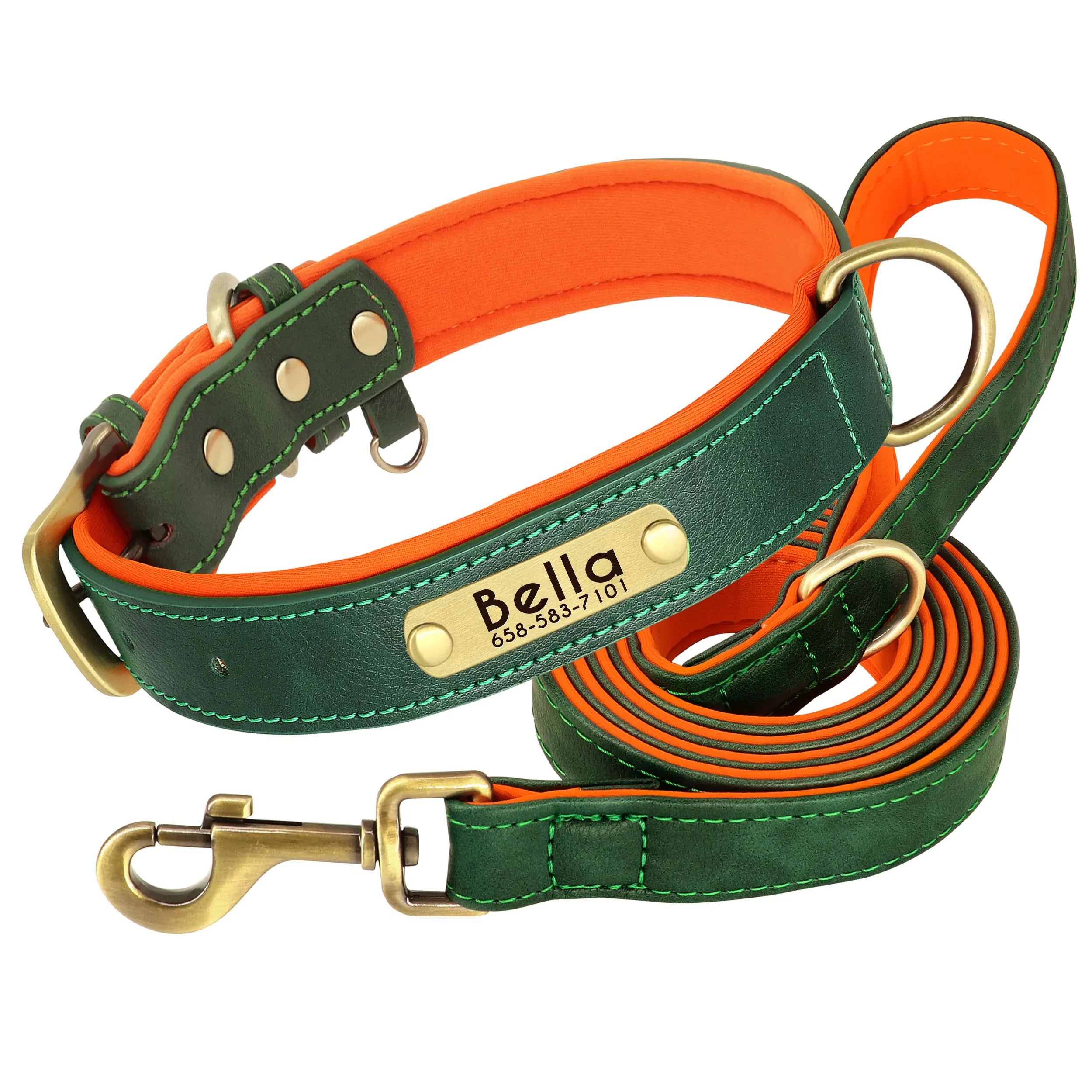 PawNook Luxury Engraved Dog Collar