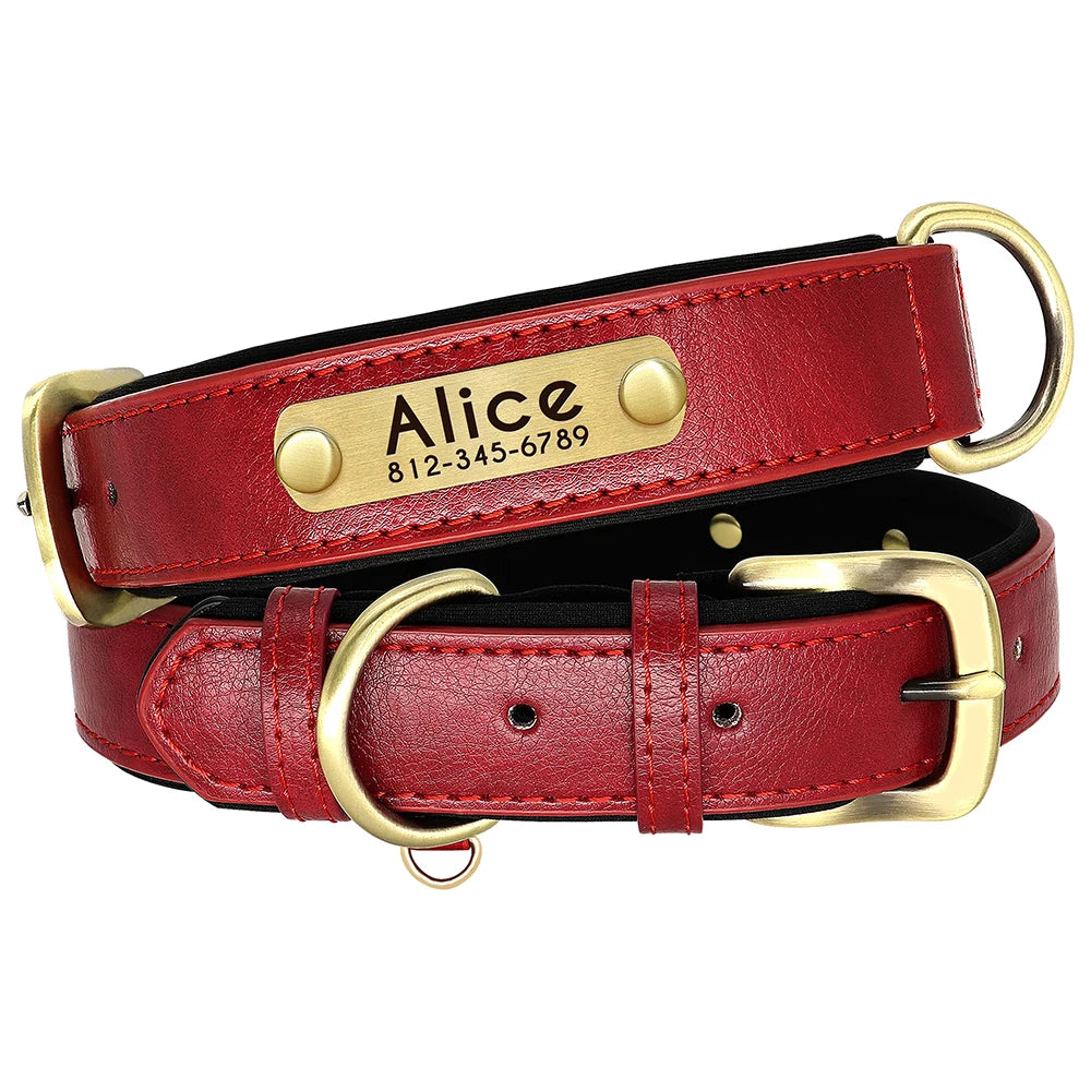 PawNook Luxury Engraved Dog Collar