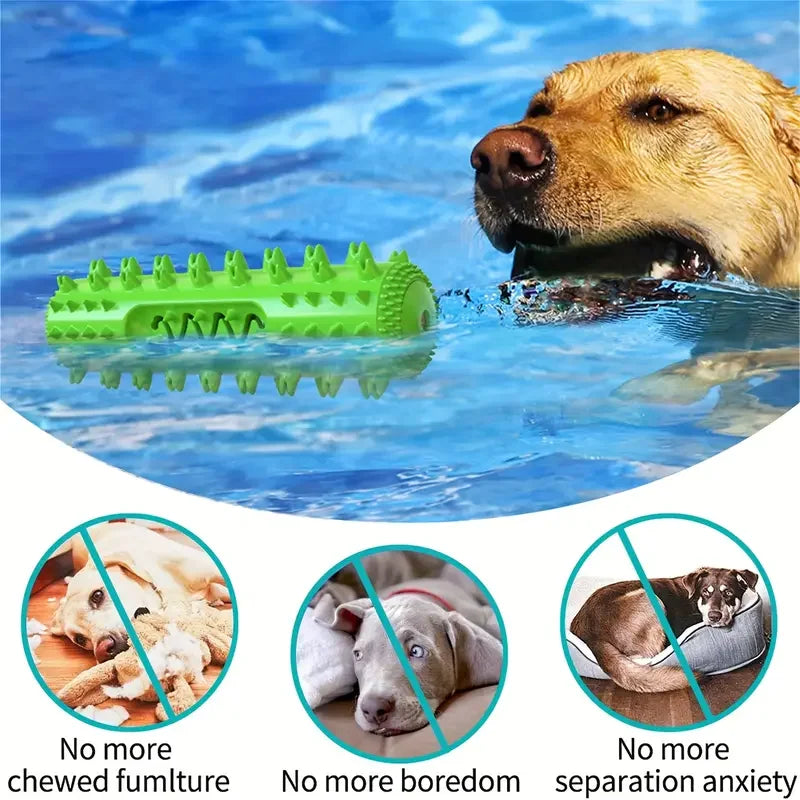 Dog Chew Toy for Teething & Dental Care