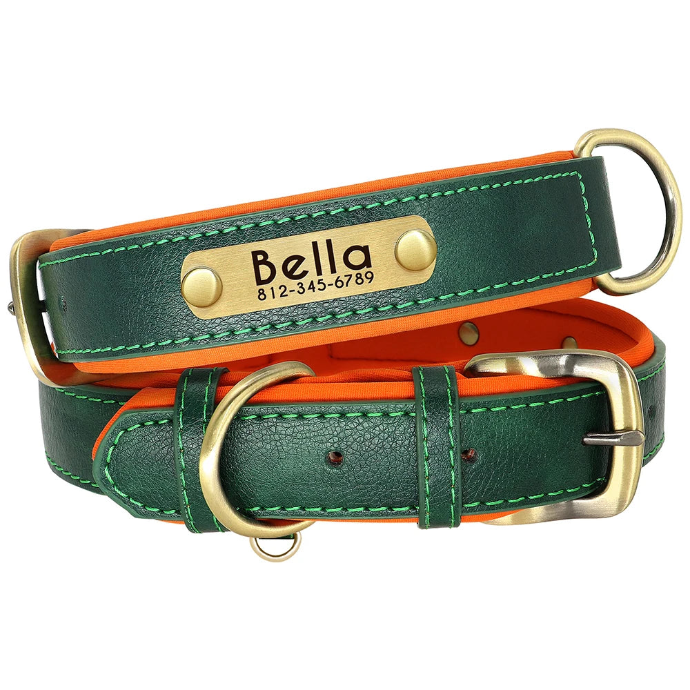 PawNook Luxury Engraved Dog Collar