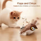 HappyPaws Chirping Bird Toy