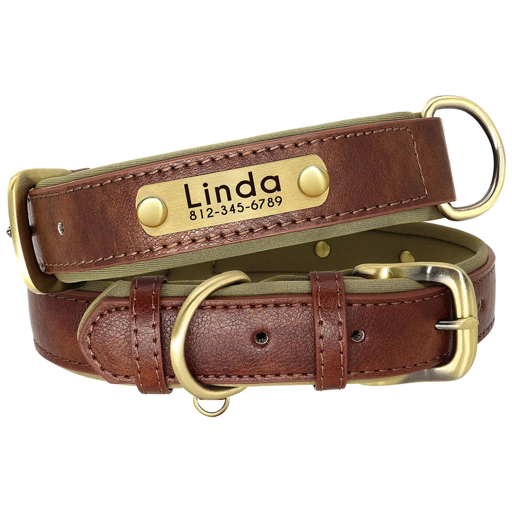 PawNook Luxury Engraved Dog Collar