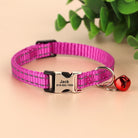 Personalized Engraved Cat Collar